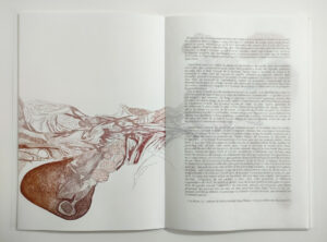 Gladys Bregeon Prurit extrait livre d artiste 30x45cm gravure 45x120cm 2023 ©Gladys Bregeon